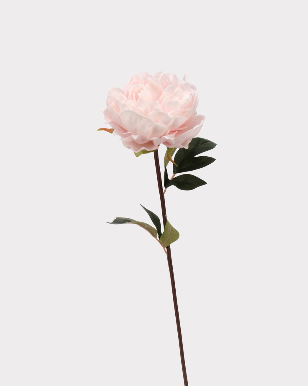 Real Touch Peony Faux Flower - 20.5"