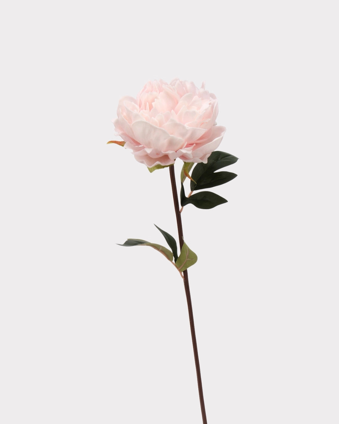 Real Touch Peony Faux Flower - 20.5"