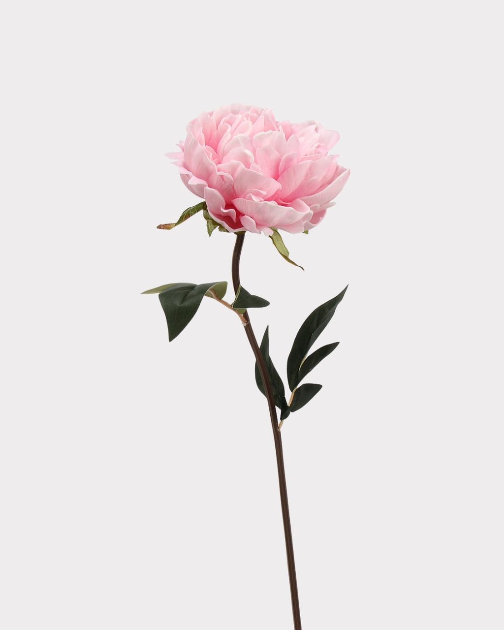 Real Touch Peony Faux Flower - 20.5"