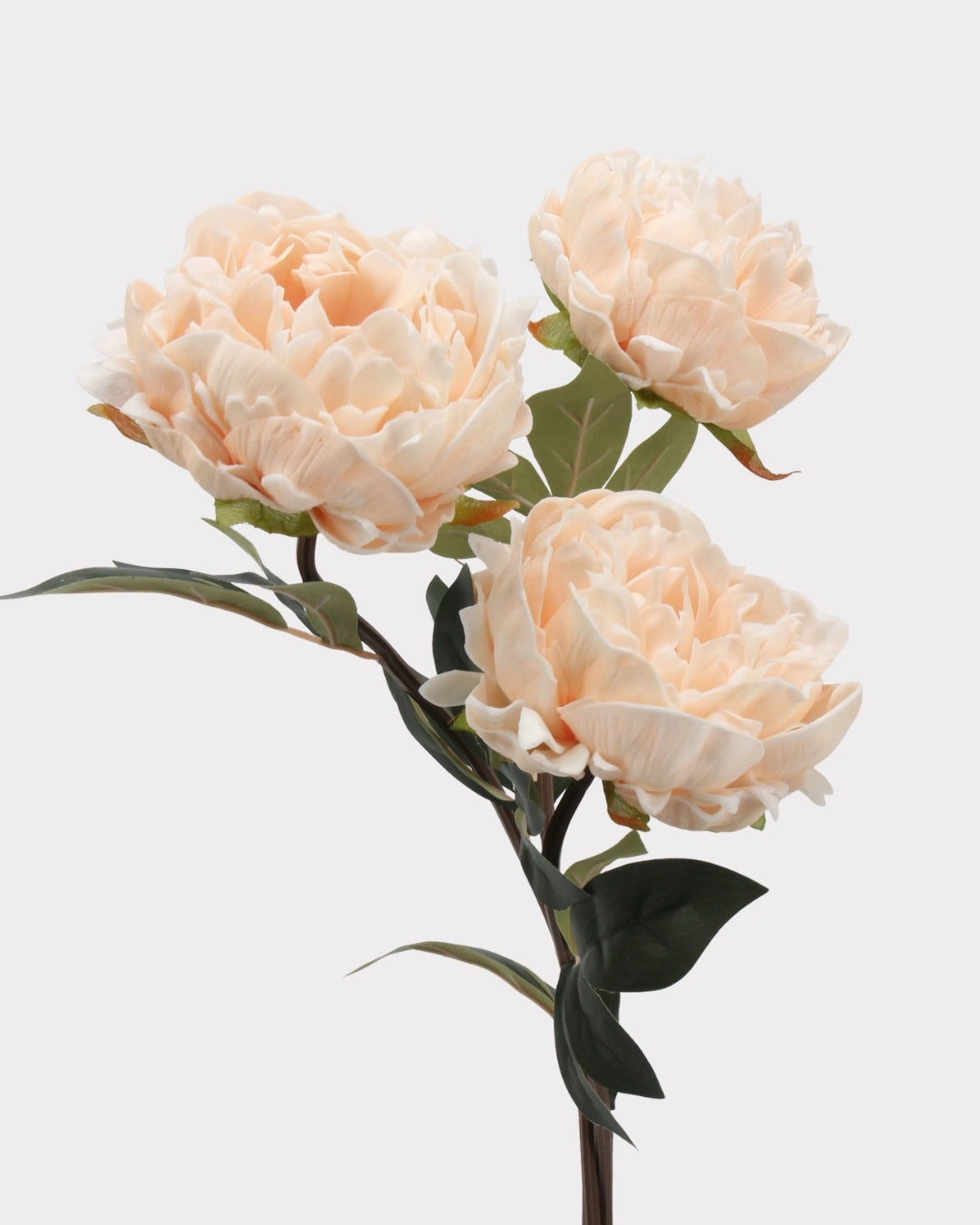Real Touch Peony Faux Flower - 20.5"