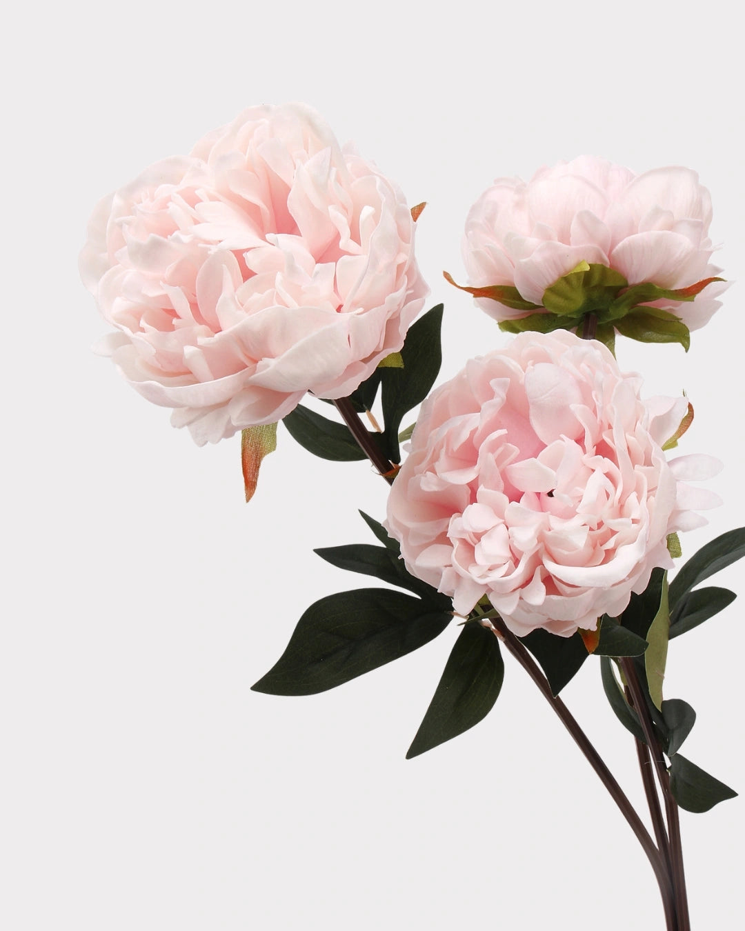 Real Touch Peony Faux Flower - 20.5"