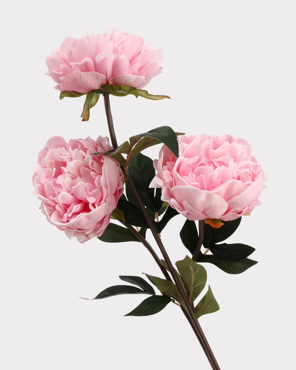 Real Touch Peony Faux Flower - 20.5"