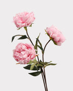 Real Touch Peony Faux Flower - 20.5"