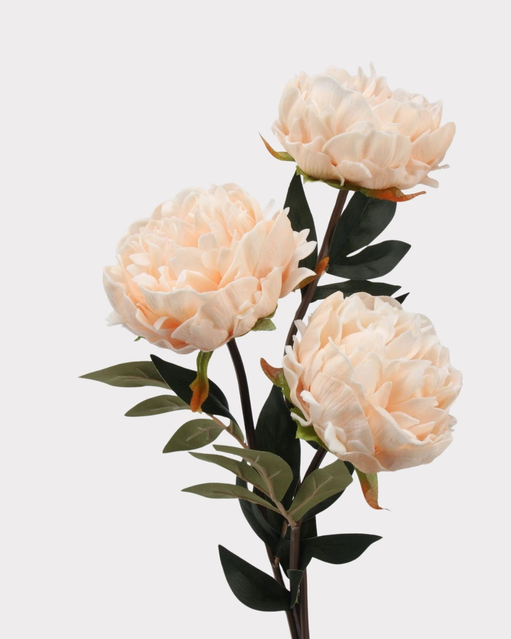 Real Touch Peony Faux Flower - 20.5"