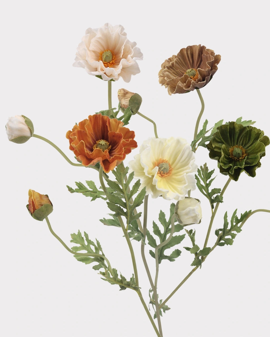 Real Touch Poppy Faux Flower in Brown - 22"