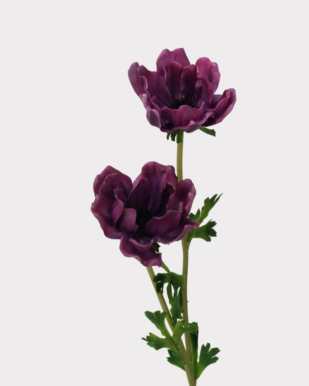 Real Touch Poppy Faux Flower - 26.0"