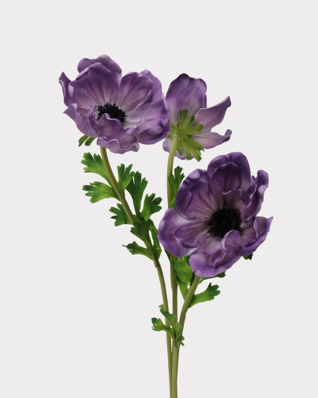 Real Touch Poppy Faux Flower - 26.0"