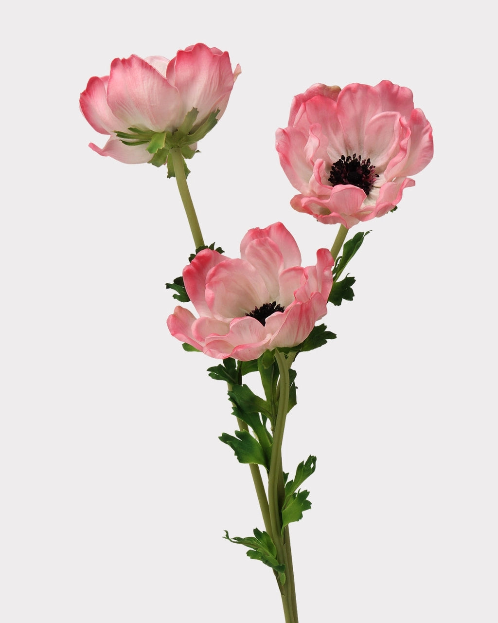 Real Touch Poppy Faux Flower - 26.0"