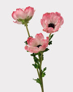 Real Touch Poppy Faux Flower - 26.0"