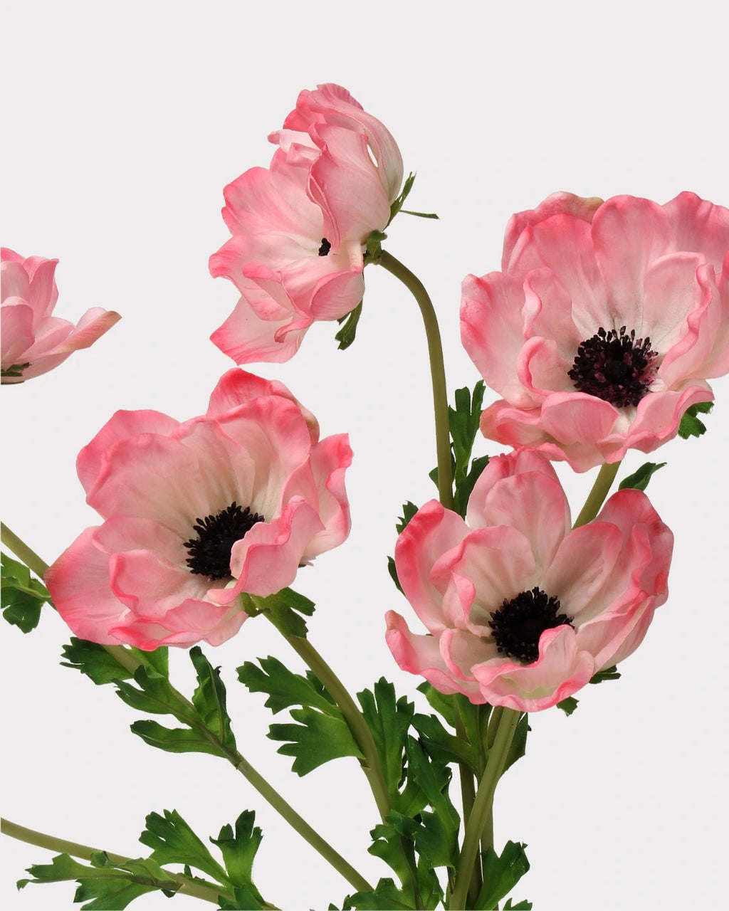 Real Touch Poppy Faux Flower - 26.0"