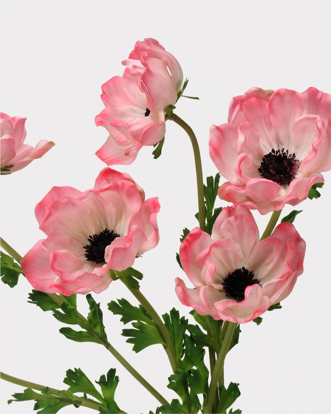 Real Touch Poppy Faux Flower - 26.0"