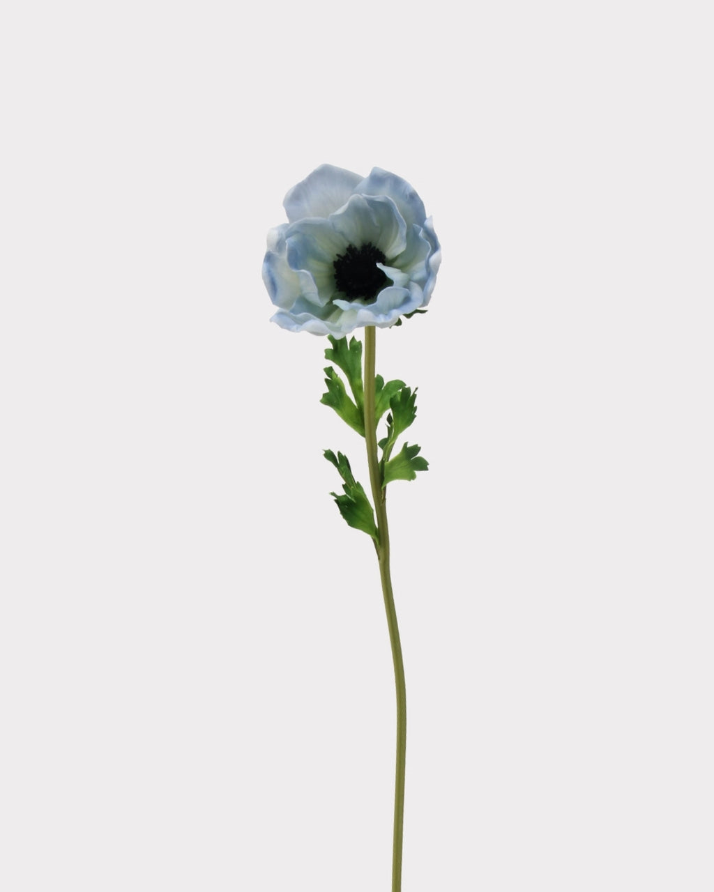 Real Touch Poppy Faux Flower - 26.0"