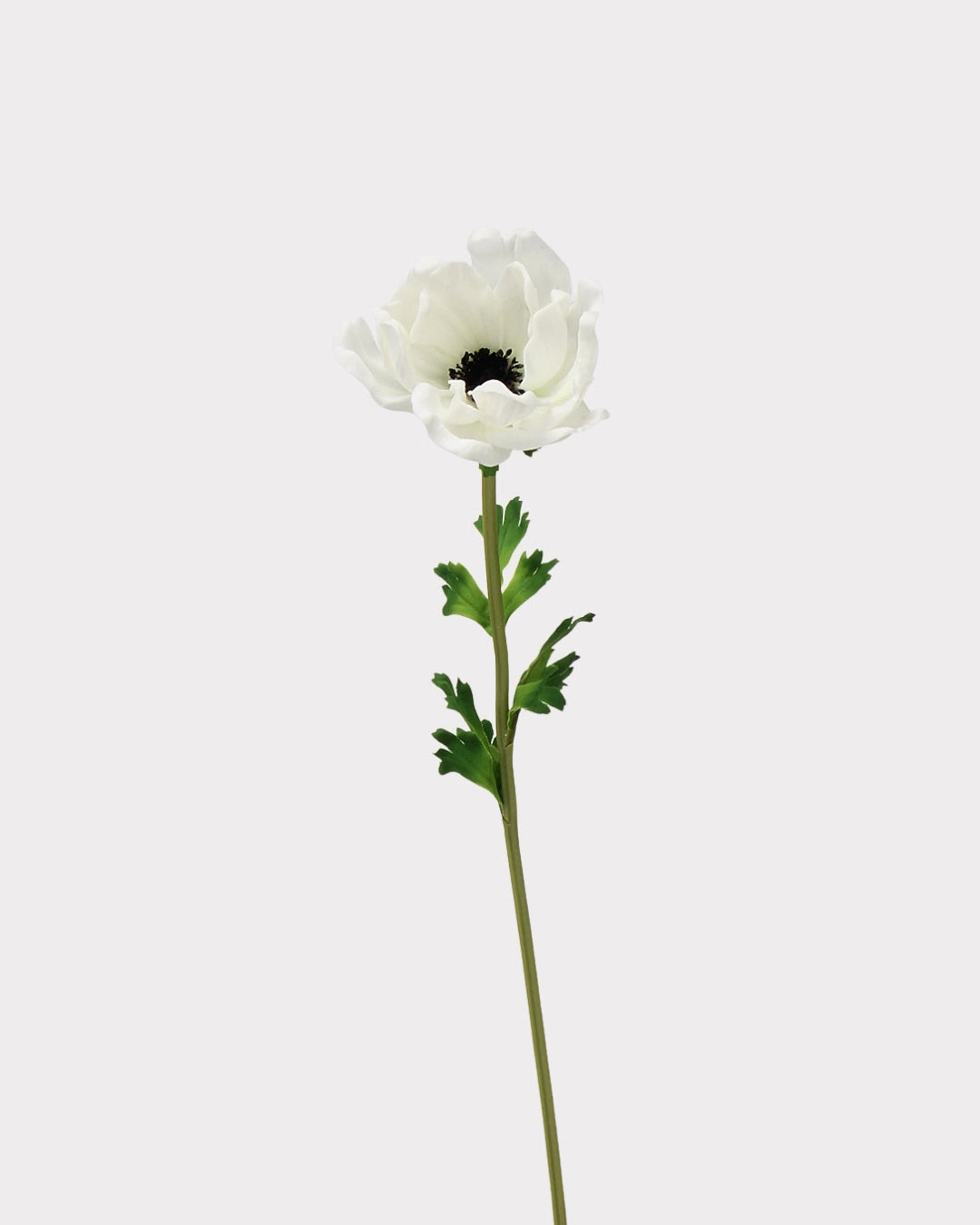 Real Touch Poppy Faux Flower - 26.0"