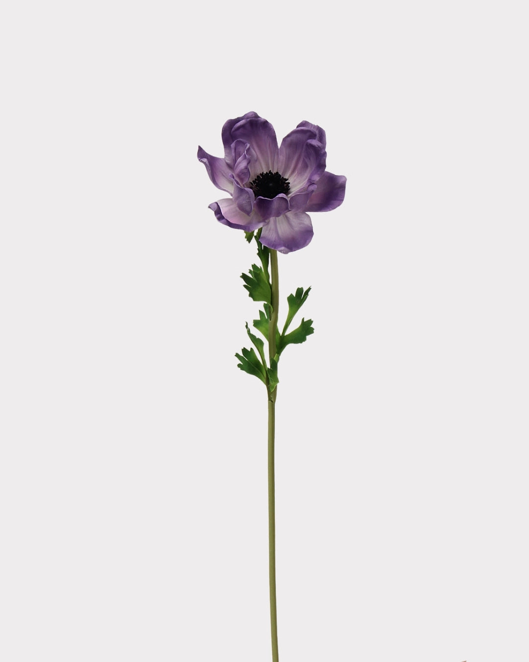 Real Touch Poppy Faux Flower - 26.0"