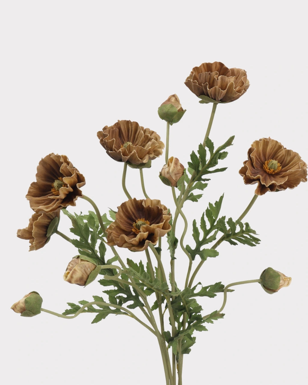 Real Touch Poppy Faux Flower in Brown - 22"