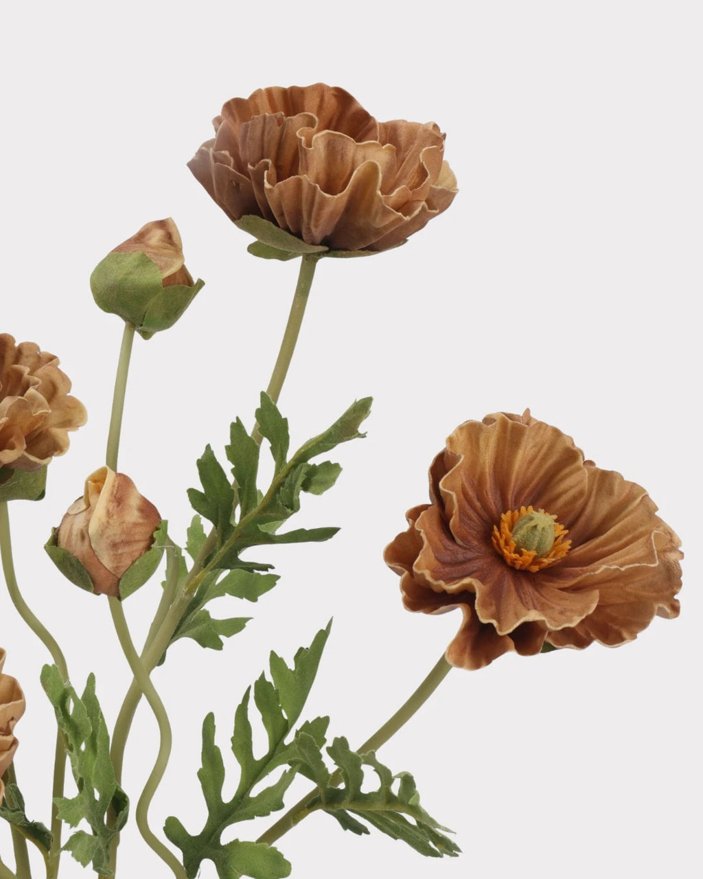 Real Touch Poppy Faux Flower in Brown - 22"