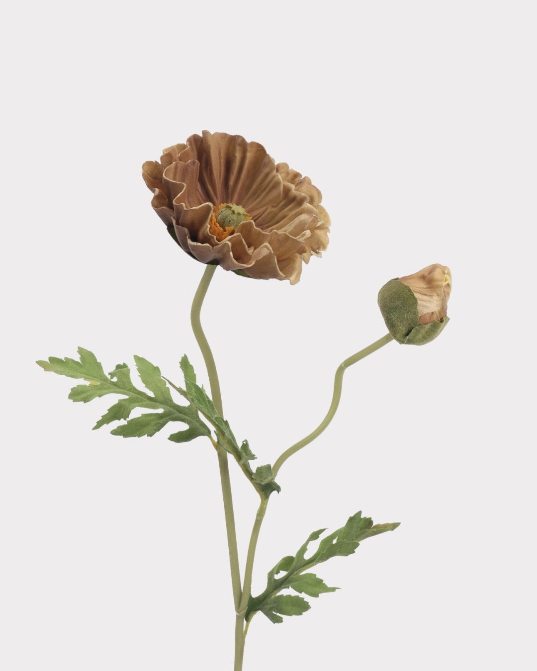 Real Touch Poppy Faux Flower in Brown - 22"