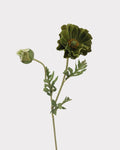 Real Touch Poppy Faux Flower in Green - 22"