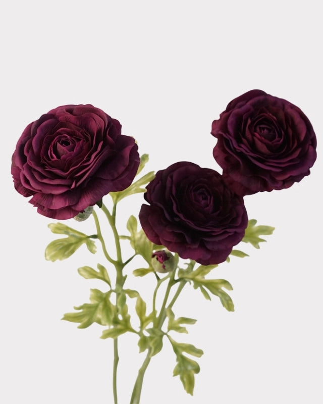 Real Touch Ranunculus Faux Flower in Burgundy - 22"
