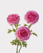 Real Touch Ranunculus Faux Flower in Deep Pink - 22"