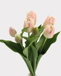 Real Touch Tulip Faux Bouquet in Champagne Pink - 15"