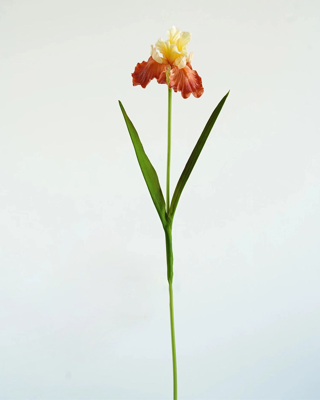 Real Touch Oil Painting Iris Artificial Flower 29"