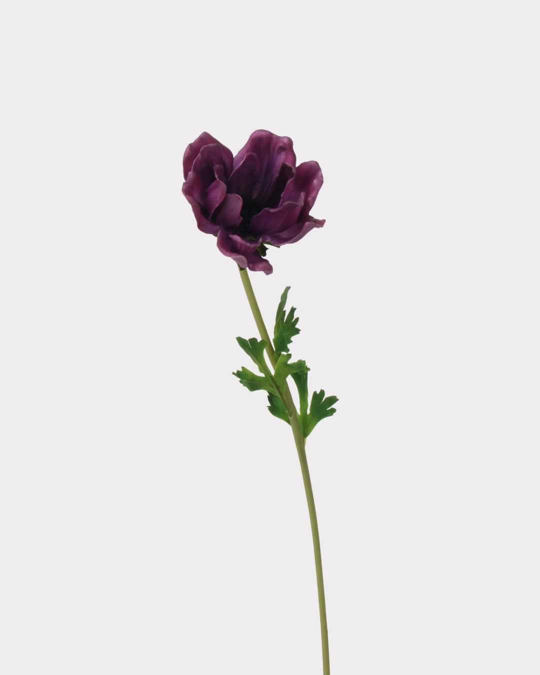 Real Touch Poppy Faux Flower - 26.0"