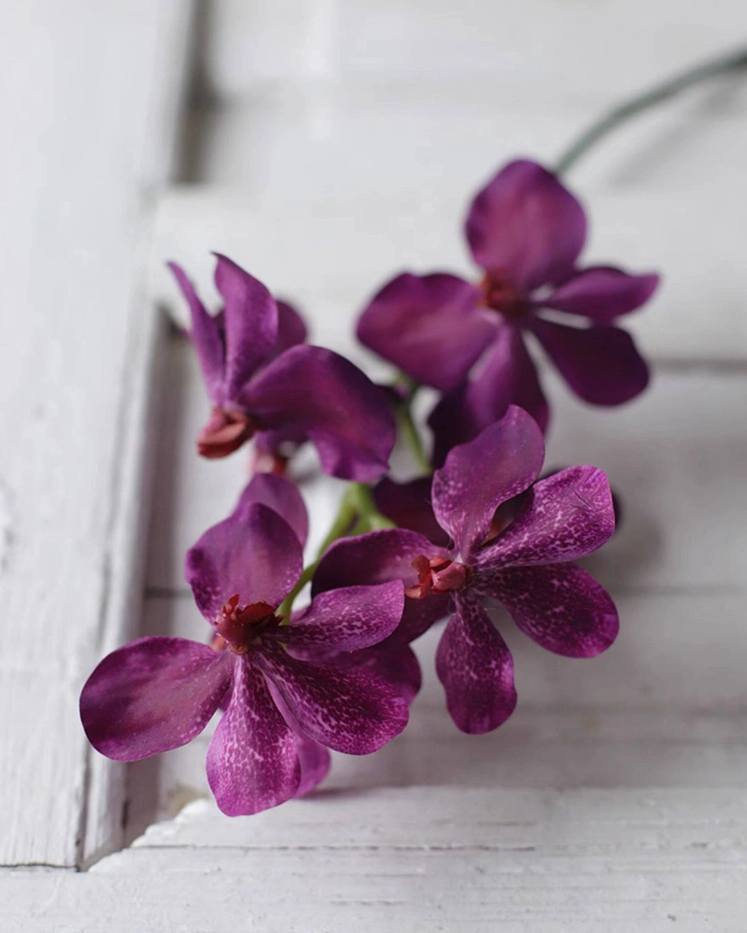 Realistic Artificial Vanda Orchid Stem 23"