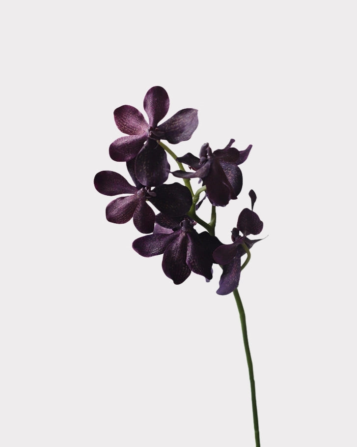 Realistic Artificial Vanda Orchid Stem 23"