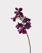Realistic Artificial Vanda Orchid Stem 23"
