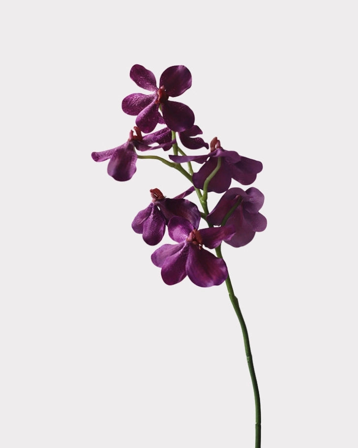 Realistic Artificial Vanda Orchid Stem 23"
