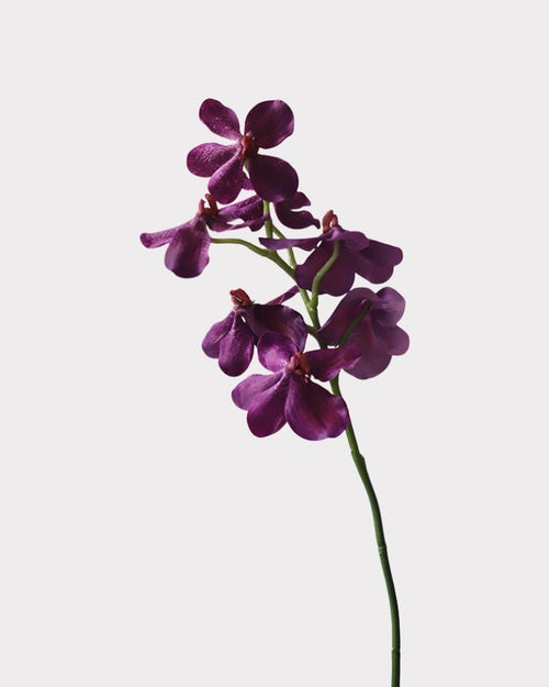 Realistic Artificial Vanda Orchid Stem 23"