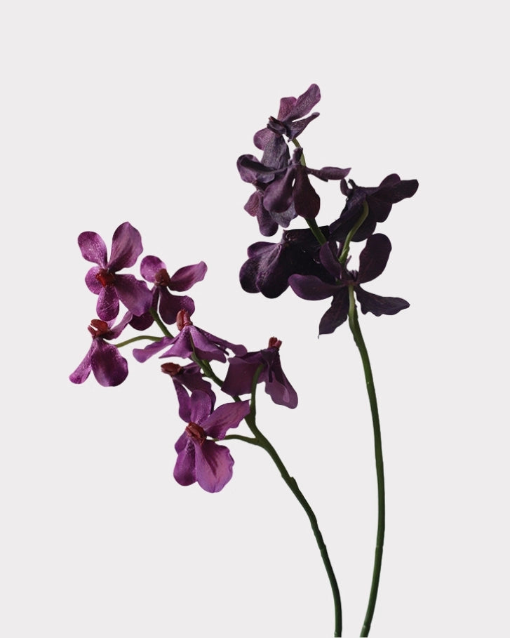 Realistic Artificial Vanda Orchid Stem 23"