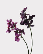Realistic Artificial Vanda Orchid Stem 23"