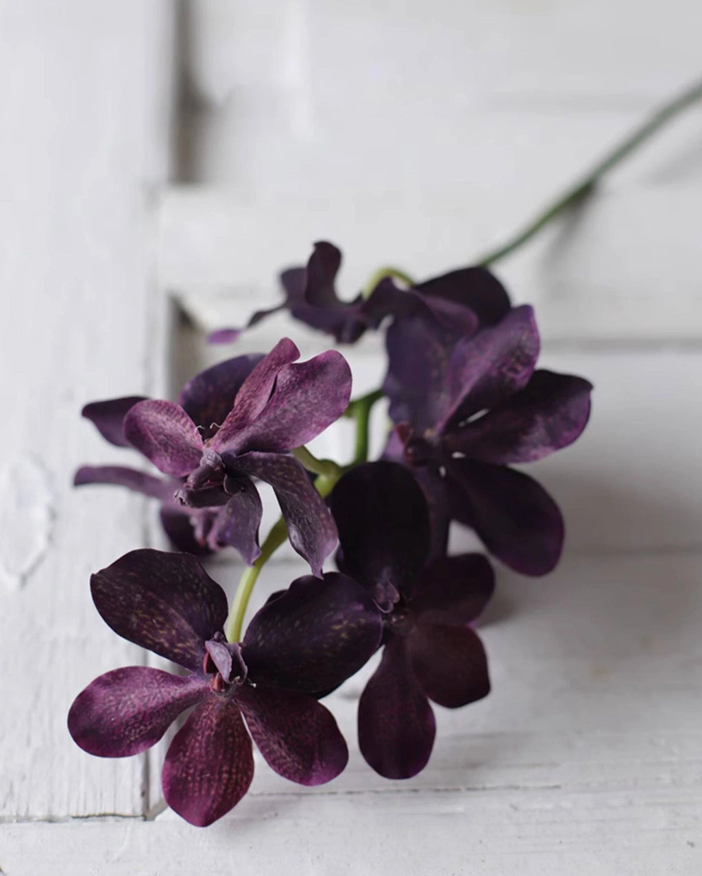 Realistic Artificial Vanda Orchid Stem 23"