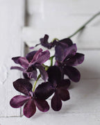 Realistic Artificial Vanda Orchid Stem 23"