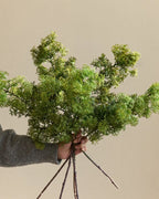 Rime Frost Faux Foliage - 29.5"