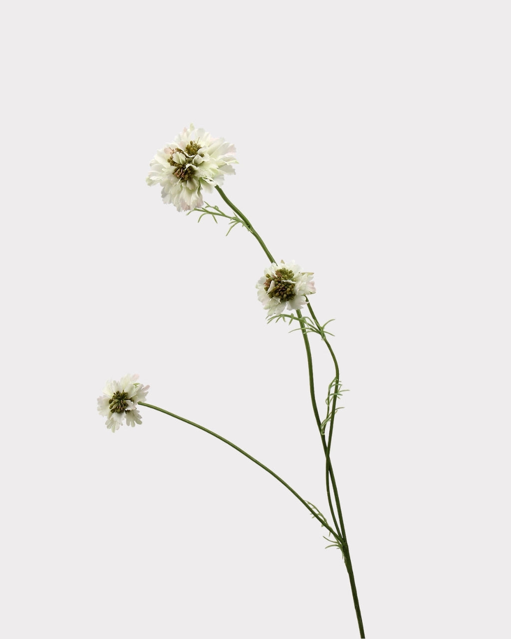 Rustic Country Garden Faux Cosmos Flower Stem - 31.1"