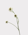 Rustic Country Garden Faux Cosmos Flower Stem - 31.1"