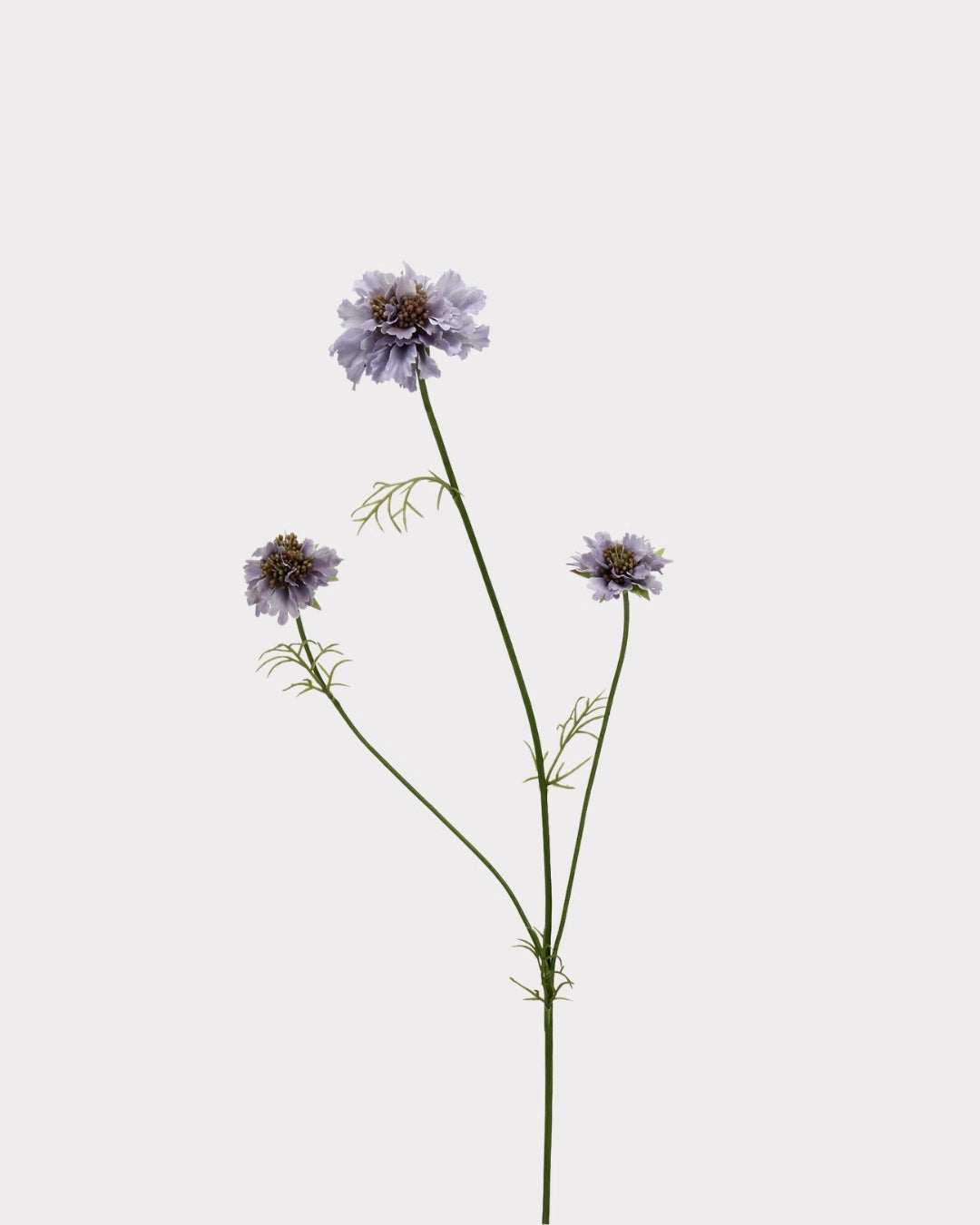 Rustic Country Garden Faux Cosmos Flower Stem - 31.1"