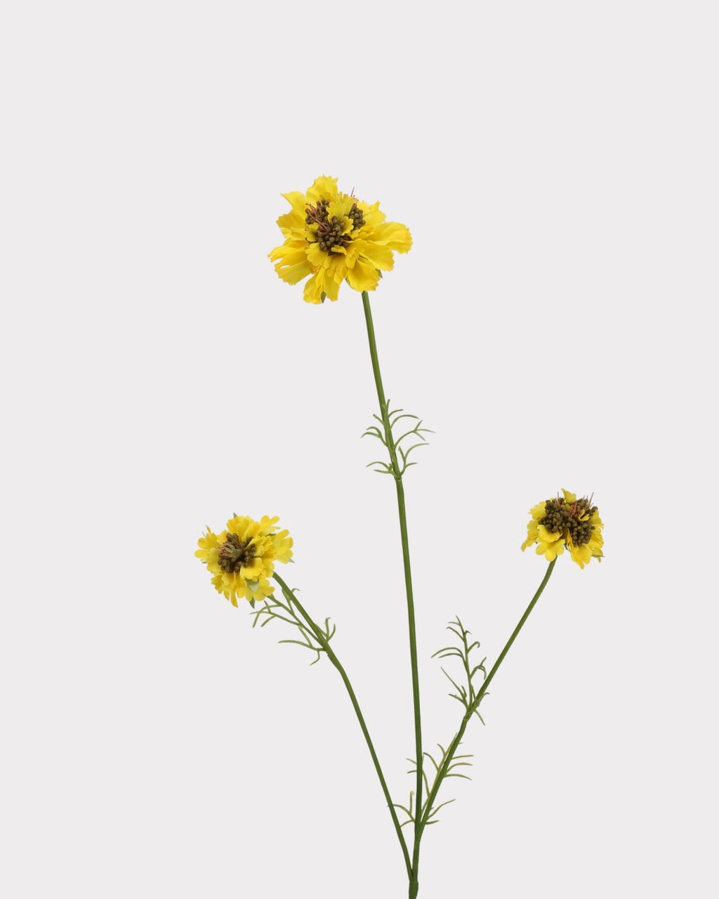 Rustic Country Garden Faux Cosmos Flower Stem - 31.1"