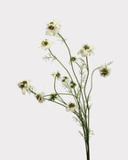 Rustic Country Garden Faux Cosmos Flower Stem - 31.1"