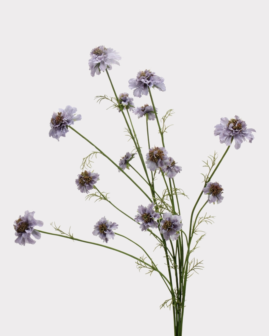 Rustic Country Garden Faux Cosmos Flower Stem - 31.1"