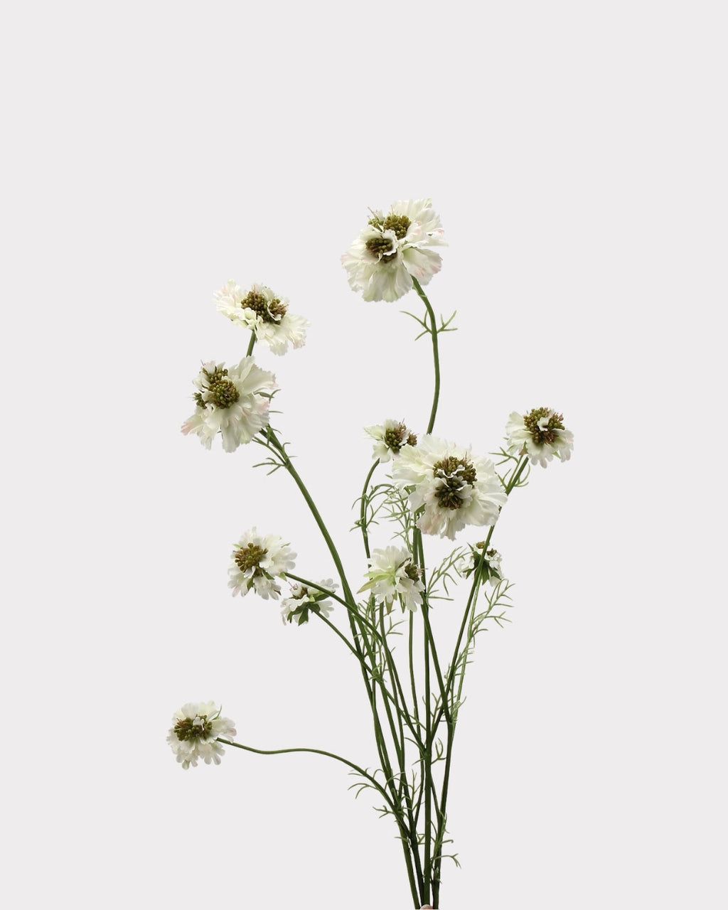 Rustic Country Garden Faux Cosmos Flower Stem - 31.1"