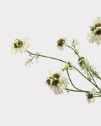 Rustic Country Garden Faux Cosmos Flower Stem - 31.1"
