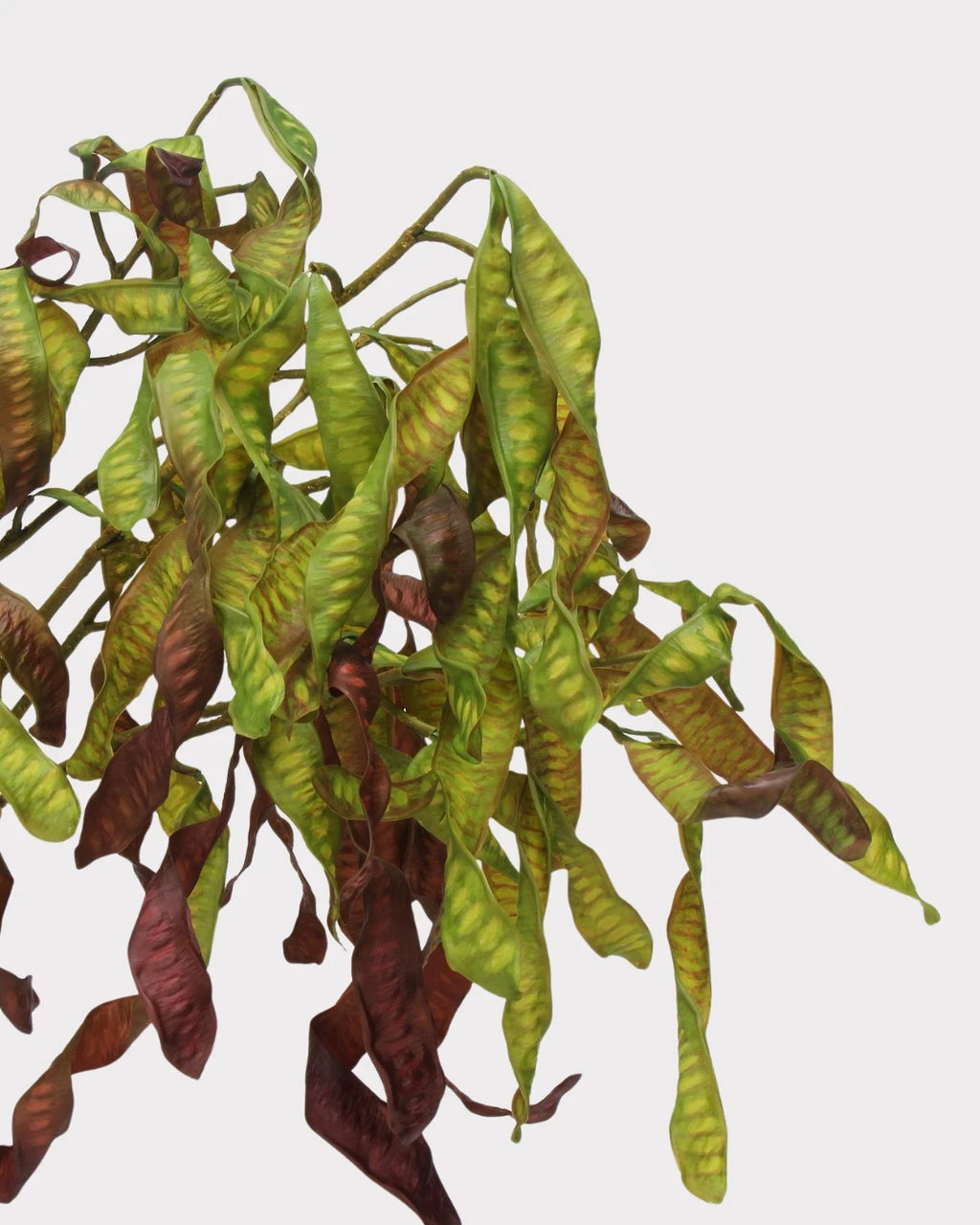 Silver Wattle Faux Foliage in Caramel - 32"