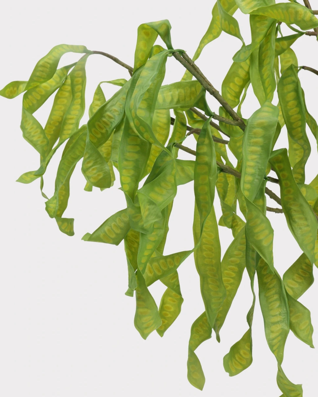 Silver Wattle Faux Foliage in Green - 32"