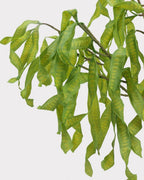 Silver Wattle Faux Foliage in Green - 32"