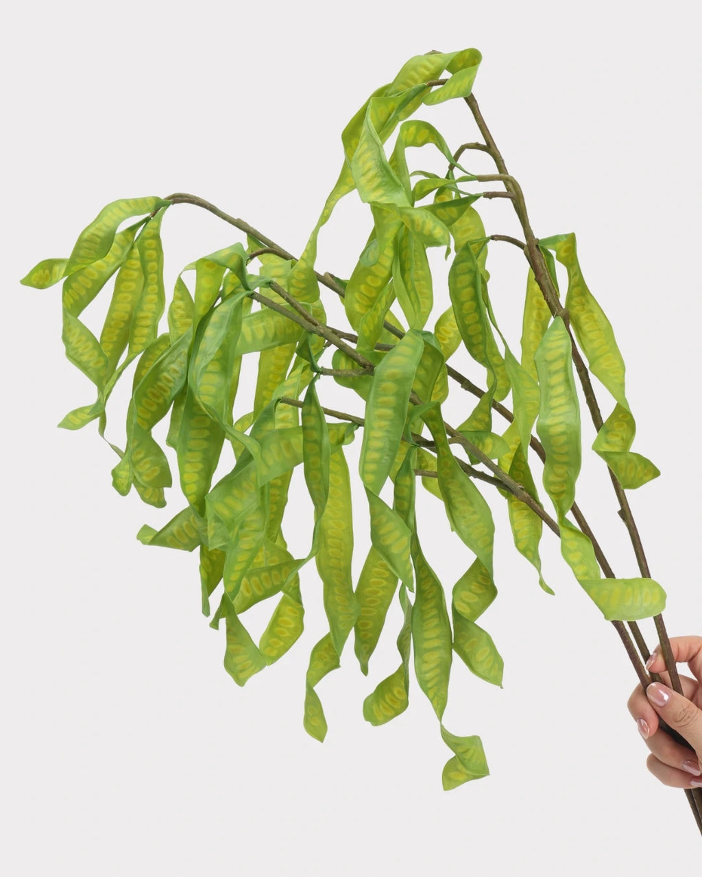 Silver Wattle Faux Foliage in Green - 32"