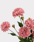 Real Touch Moisturizing Faux Dahlia Flower - 22.8"